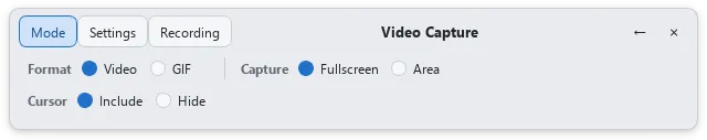LCapture Video Capture의 Video·GIF 형식, Fullscreen·Area 범위, 커서 포함 여부 설정